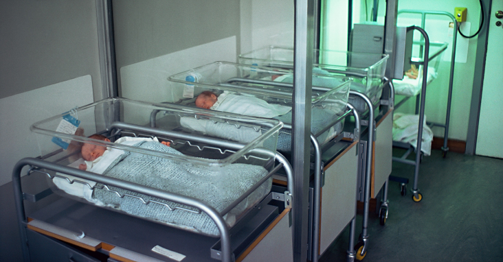 newborns in hospital