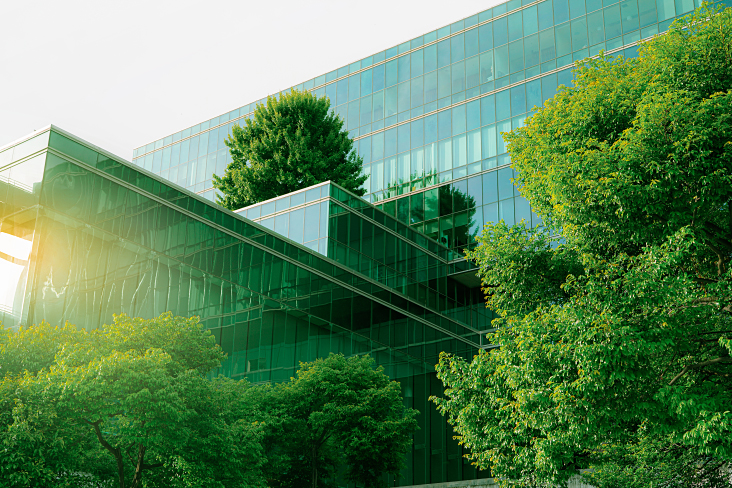 office building and trees