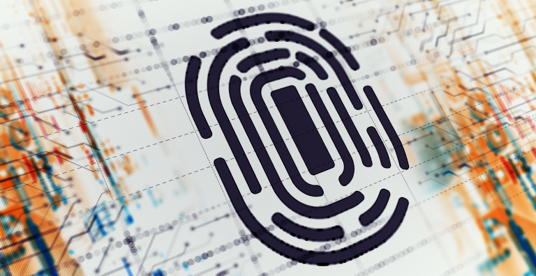 Centralized large-scale IT systems using biometrics (existing and planned)