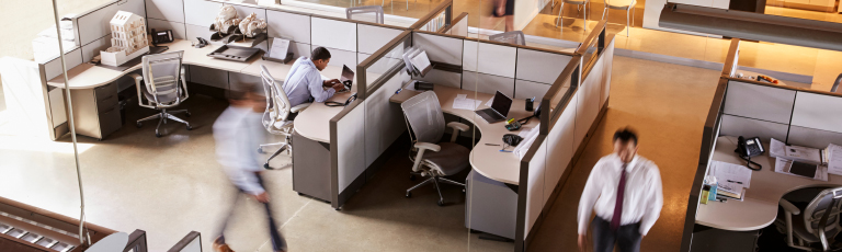 aerial view of employees in cubicles